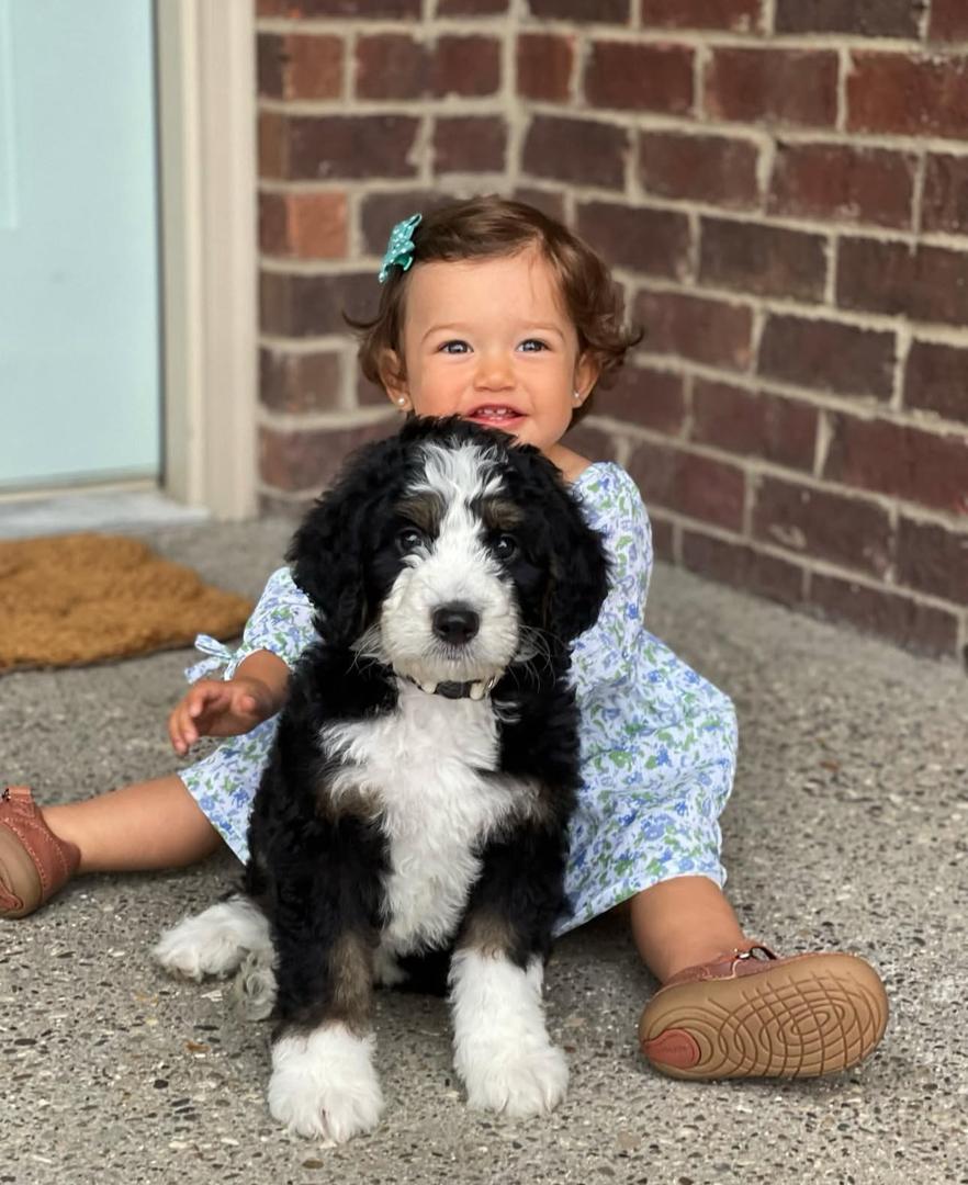 Happy Doodle family